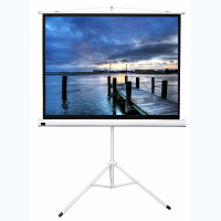 Экран на штативе DSKD-4302 - fgospostavki.ru - Нижний Тагил