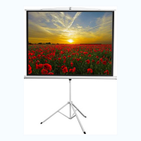 Экран на штативе DSKD-4303 - fgospostavki.ru - Нижний Тагил