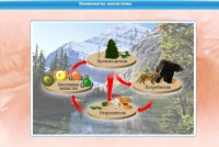 Интерактивные курсы. Биология 7 класс. Базовый. - fgospostavki.ru - Нижний Тагил