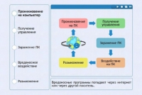 Интерактивные курсы. Информатика 10 класс . Базовый. - fgospostavki.ru - Нижний Тагил