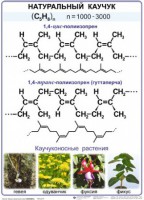 Комплект демонстрационных таблиц по химии "Полимеры" (комплект 12 таблиц) - fgospostavki.ru - Нижний Тагил