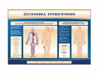 Электрифицированный стенд-тренажер "Остановка кровотечения" - fgospostavki.ru - Нижний Тагил