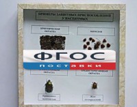 Коллекция энтомологическая "Примеры защитных приспособлений у насекомых" - fgospostavki.ru - Нижний Тагил