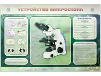 Электрифицированный стенд "Устройство микроскопа и правила работы c ним" - fgospostavki.ru - Нижний Тагил