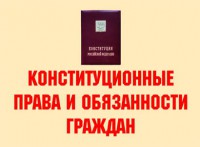 Комплект плакатов "Конституционные права и обязанности граждан" - fgospostavki.ru - Нижний Тагил