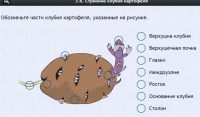 Интерактивные курсы. Биология 6 класс. Расширенный - fgospostavki.ru - Нижний Тагил