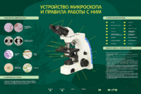 Электрифицированный стенд "Устройство микроскопа и правила работы c ним" - fgospostavki.ru - Нижний Тагил