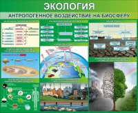 Стенд "Экология. Антропогенное воздействие на биосферу" - fgospostavki.ru - Нижний Тагил