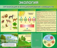 Стенд "Экология. Организация и функционирование сообществ" - fgospostavki.ru - Нижний Тагил