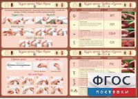 Стенд "Вязание крючком" - fgospostavki.ru - Нижний Тагил