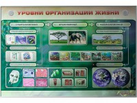 Электрифицированный стенд "Уровни организации жизни" - fgospostavki.ru - Нижний Тагил