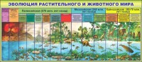 Стенд "Эволюция растительного и животного мира" - fgospostavki.ru - Нижний Тагил