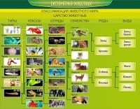 Стенд "Систематика животных" - fgospostavki.ru - Нижний Тагил