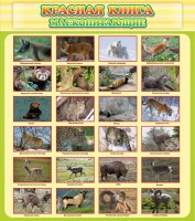 Стенд "Красная книга - млекопитающие" - fgospostavki.ru - Нижний Тагил