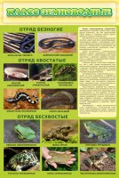 Стенд "Класс земноводные" - fgospostavki.ru - Нижний Тагил