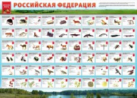 Стенд "Красная книга РФ" - fgospostavki.ru - Нижний Тагил