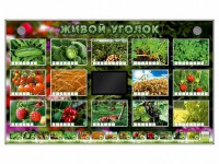 Комплект оборудования "Живой уголок" (растения) - fgospostavki.ru - Нижний Тагил