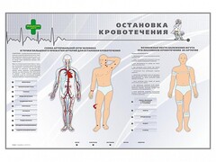 Электрифицированный стенд "Остановка кровотечения" - fgospostavki.ru - Нижний Тагил