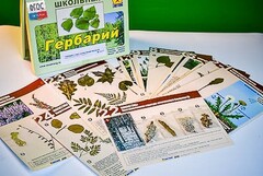 Гербарий к курсу основ общей биологии - fgospostavki.ru - Нижний Тагил
