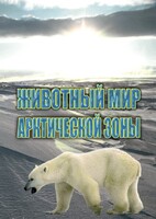 DVD "Животный мир Арктической зоны" - fgospostavki.ru - Нижний Тагил