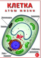 DVD "Клетка - "атом жизни" - fgospostavki.ru - Нижний Тагил