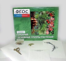 Гербарий "Основные группы растений" (52 листа) - fgospostavki.ru - Нижний Тагил