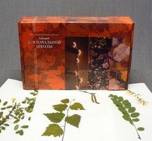 Гербарий для Начальной школы (28 видов) - fgospostavki.ru - Нижний Тагил