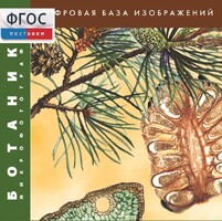 Ботаника. Микрофотографии. (Цифровая база изображений) - fgospostavki.ru - Нижний Тагил