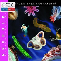 Биология. Микрофотографии. (Цифровая база изображений) - fgospostavki.ru - Нижний Тагил