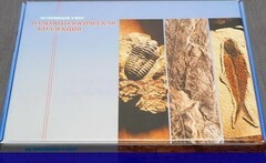 Коллекция "Палеонтологическая" (16 образцов) - fgospostavki.ru - Нижний Тагил