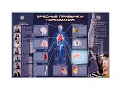 Электрифицированный стенд "Вредные привычки: наркомания" - fgospostavki.ru - Нижний Тагил