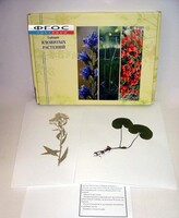 Гербарий "Ядовитые растения" (20 видов) - fgospostavki.ru - Нижний Тагил