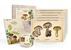 Комбинированное наглядное пособие  «Грибы» - fgospostavki.ru - Нижний Тагил