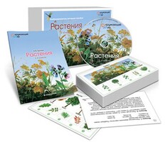 Комбинированное наглядное пособие «Растения» - fgospostavki.ru - Нижний Тагил