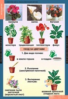 Комплект таблиц. Окружающий мир 1 класс. - fgospostavki.ru - Нижний Тагил