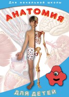 DVD "Анатомия для детей" - fgospostavki.ru - Нижний Тагил
