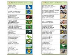 Комплект карточек (10) "Обучающий калейдоскоп. Природа" - fgospostavki.ru - Нижний Тагил