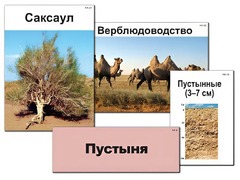 Модель-аппликация "Природные зоны России" (ламинированная) - fgospostavki.ru - Нижний Тагил