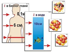 Модель-аппликация "Явление радиоактивности" (ламинированная) - fgospostavki.ru - Нижний Тагил