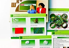 Коллекция "Шелк и продукты его переработки" (средняя школа) - fgospostavki.ru - Нижний Тагил