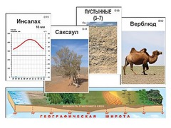 Модель-аппликация "Природные зоны" - fgospostavki.ru - Нижний Тагил