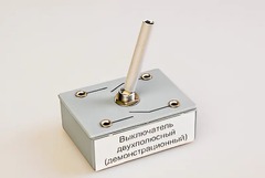 Выключатель двухполюсный (демонстрационный) - fgospostavki.ru - Нижний Тагил