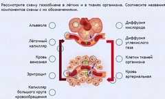 Интерактивные курсы. Биология 9 класс. Расширенный. - fgospostavki.ru - Нижний Тагил