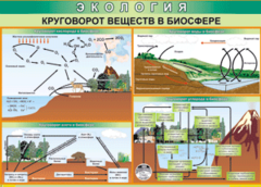 Таблица "Круговорот веществ в биосфере" (100х140 сантиметров, винил) - fgospostavki.ru - Нижний Тагил