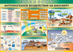 Таблица "Антропогенное воздействие на биосферу" (100х140 сантиметров, винил) - fgospostavki.ru - Нижний Тагил