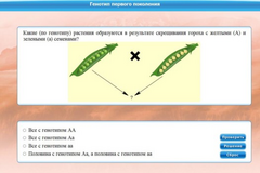 Интерактивные курсы. Биология 11 класс. Базовый. - fgospostavki.ru - Нижний Тагил