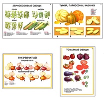 Плакаты ПРОФТЕХ "Ассортимент овощных культур" (12 пл, винил, 70х100) - fgospostavki.ru - Нижний Тагил