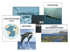 Модель-аппликация "Океаны. Знакомство" (ламинированная) - fgospostavki.ru - Нижний Тагил