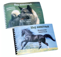 Пособие для слабовидящих - Домашние животные - fgospostavki.ru - Нижний Тагил