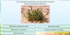 Интерактивные курсы. Окружающий мир 3 класс . Базовый. - fgospostavki.ru - Нижний Тагил